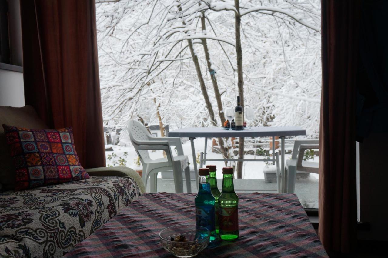Woodland Paradise Gabala Exteriér fotografie