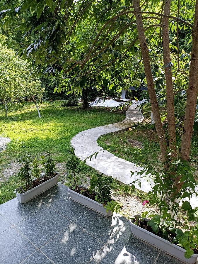 Woodland Paradise Gabala Exteriér fotografie